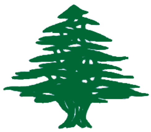 Cèdre du Liban